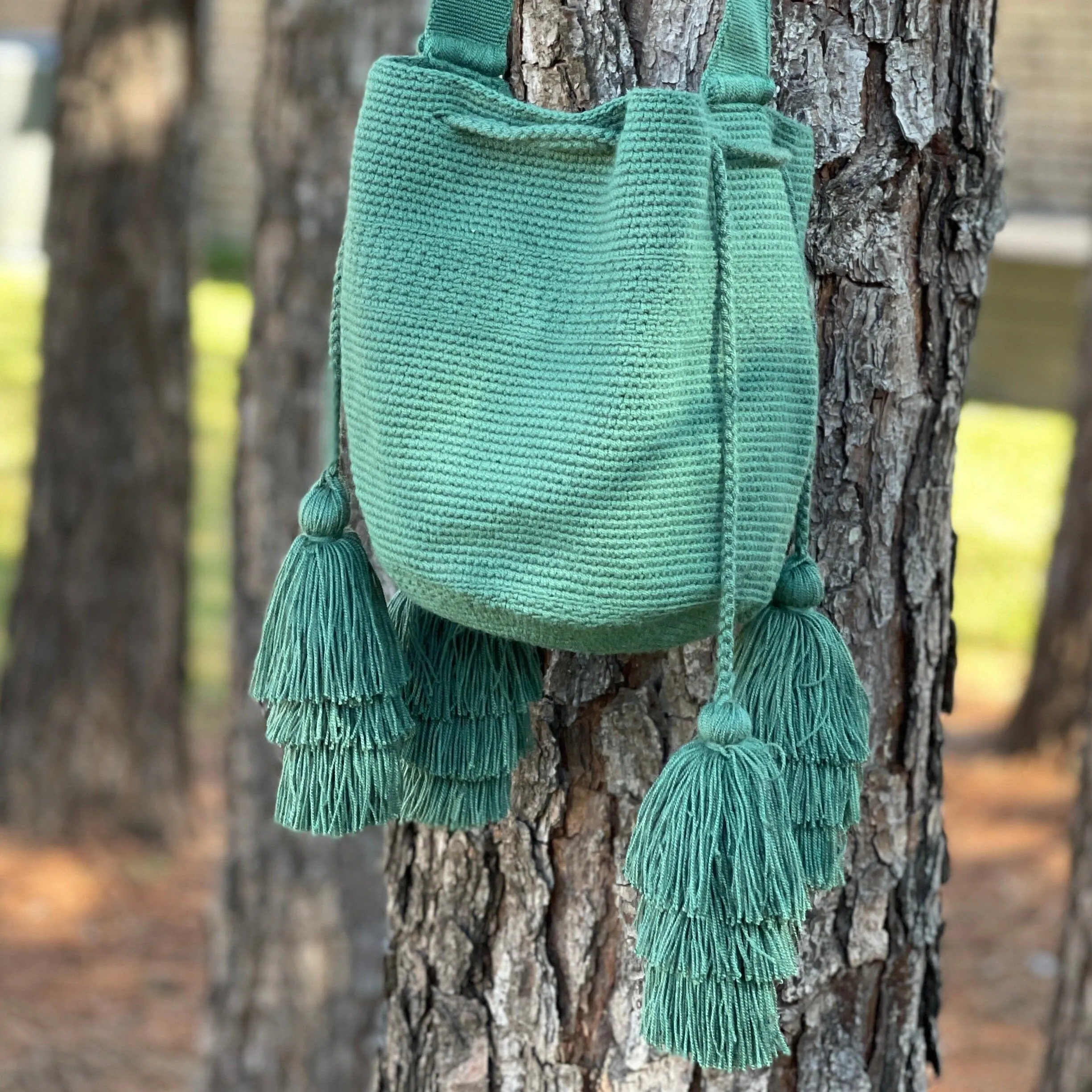 Pretty Tassel Bags | Earth Tones Crossbody Purses - M