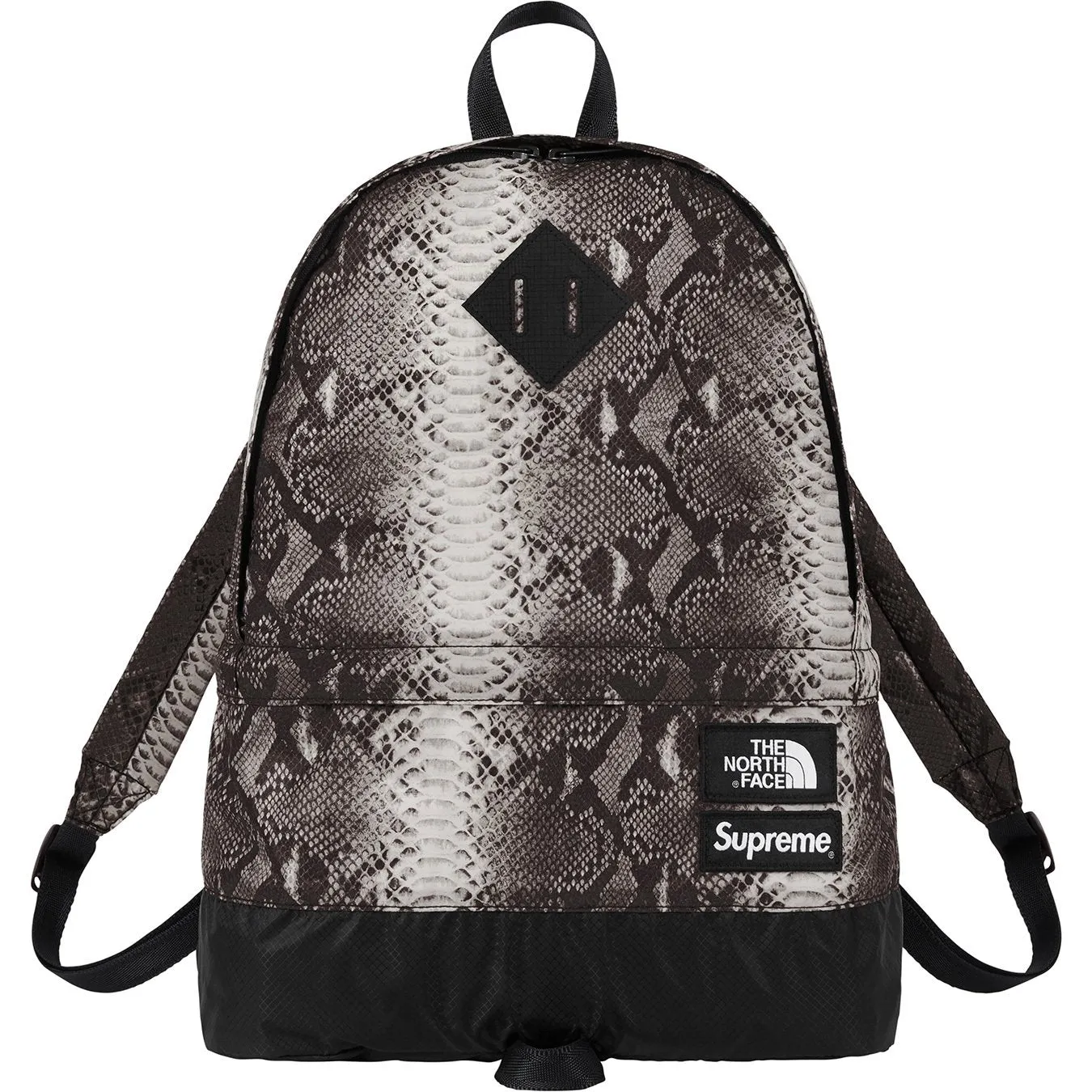 Supreme The North Face Snakeskin Lightweight Day Pack Black